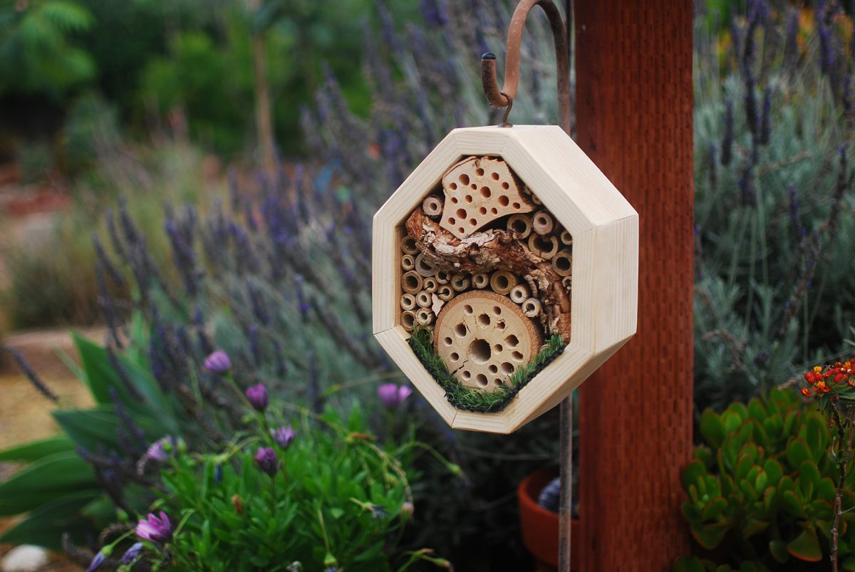 Bug Hotel 01_Feature Image
