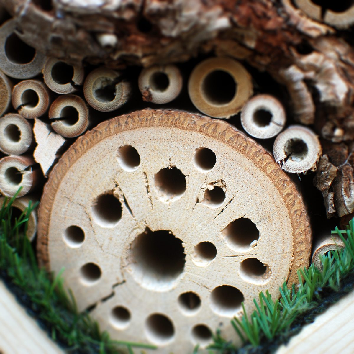 Detail of the Insect Hotel.