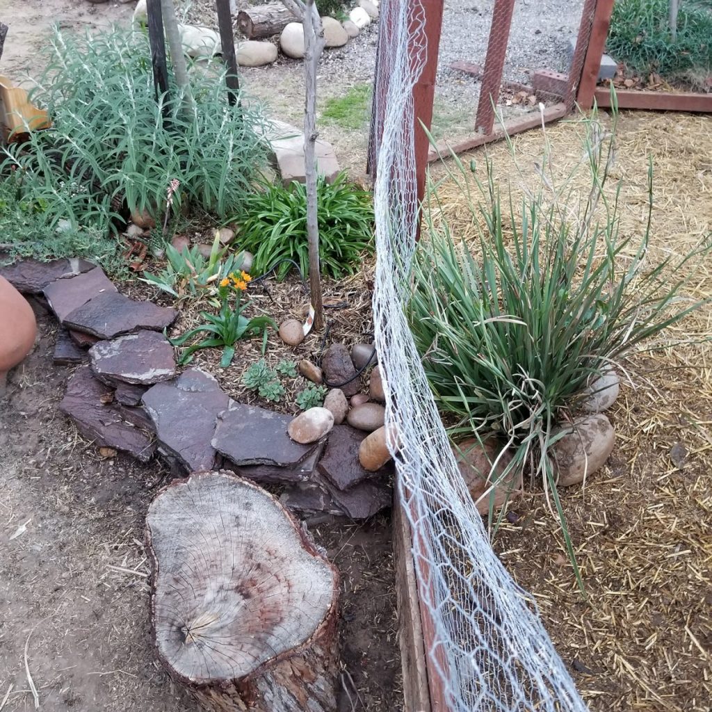Chicken Wire?? What's Old is New again! - uBloom